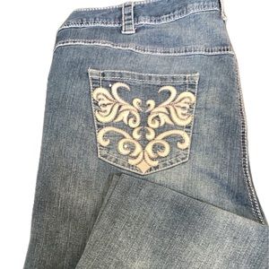 ✨Lane Bryant Embellished Straight Leg Jeans Size 24